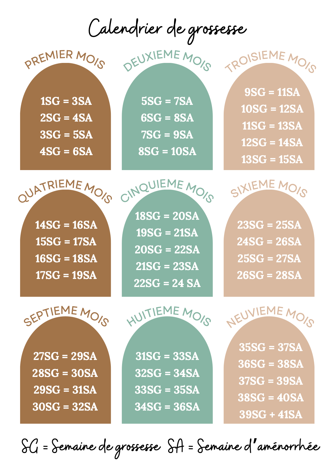 Modèle forêt et renard