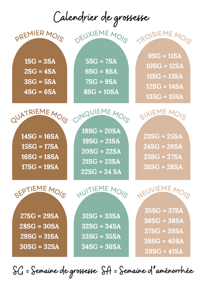 Modèle forêt et renard