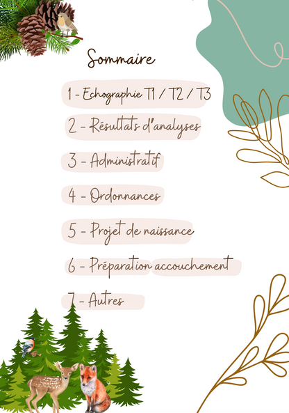 Modèle forêt et renard