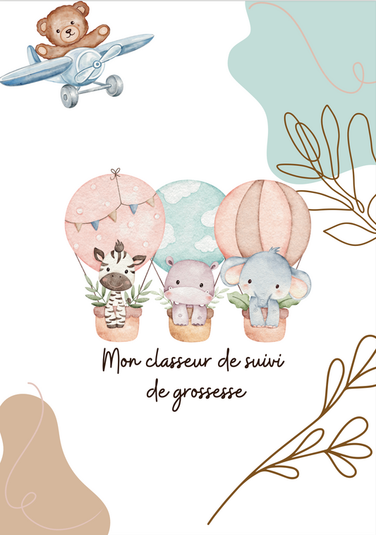 Modèle Montgolfières