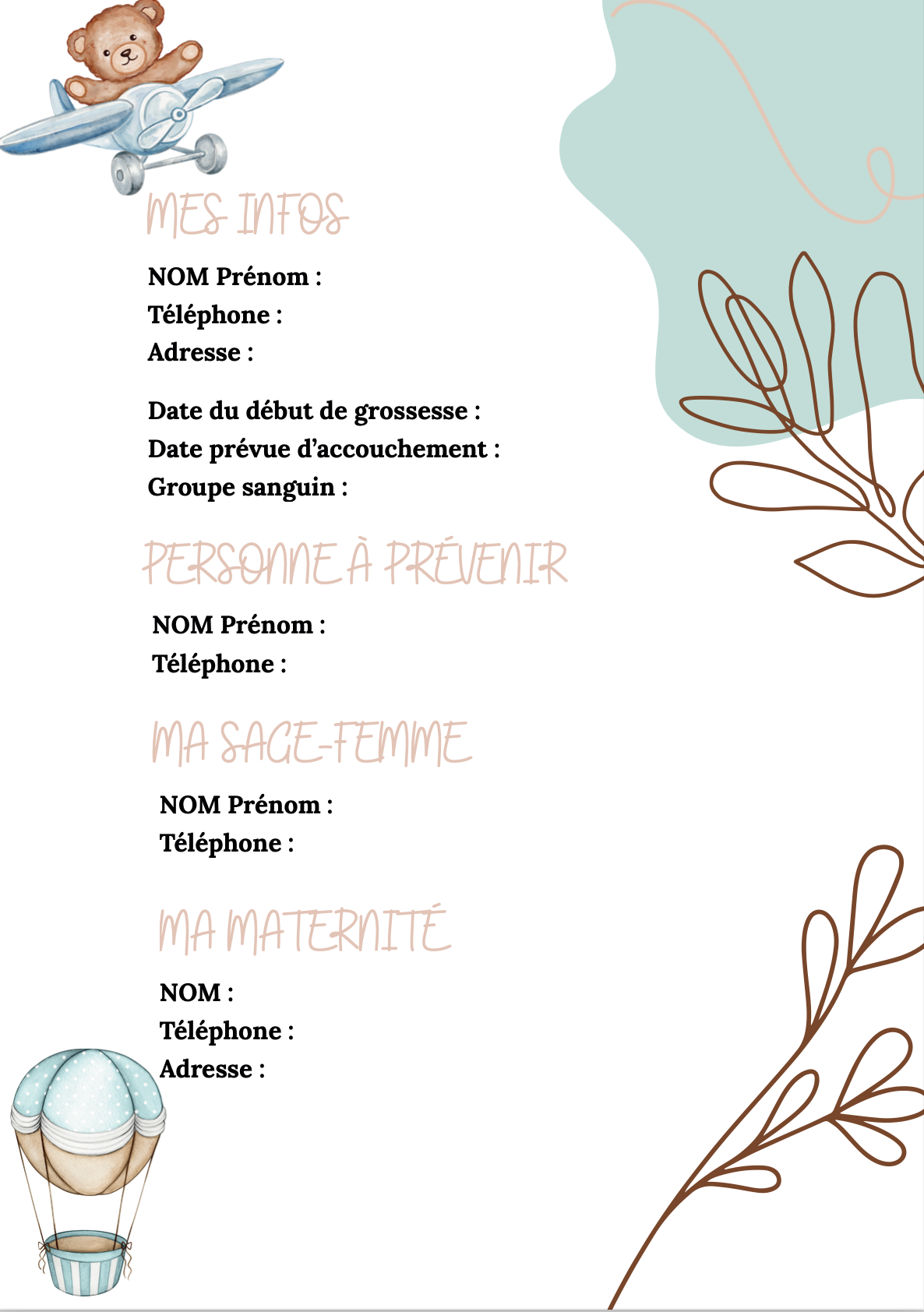Modèle Montgolfières