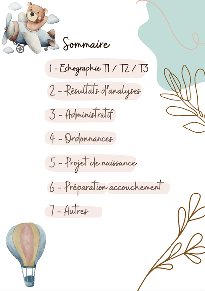 Modèle Montgolfières