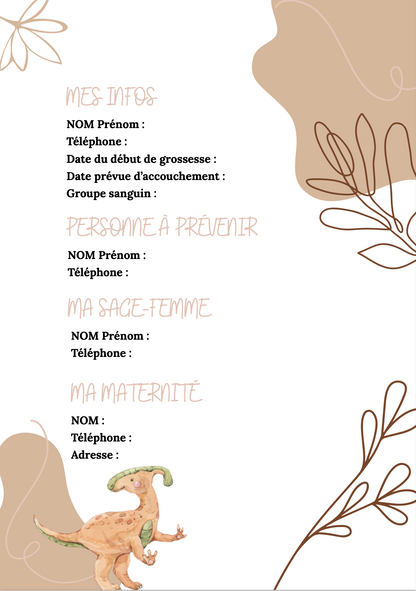Modèle dinosaures