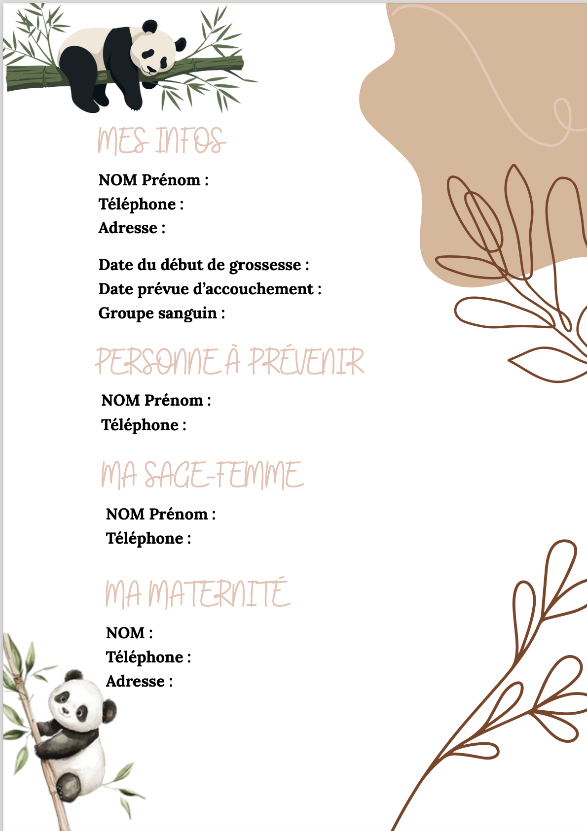 Modèle panda