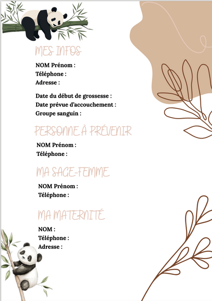 Modèle panda